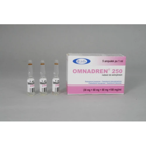 Omnadren 250 Testosterone Blend 5 ampoules 1 ml 250 mg ml Online in Czech Republic