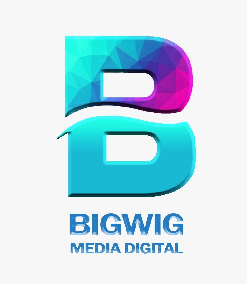 BigwigMediaDigital – Trusted Online Marketing Agency