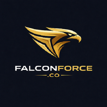 SEO Service In Ludhiana – Falcon Force