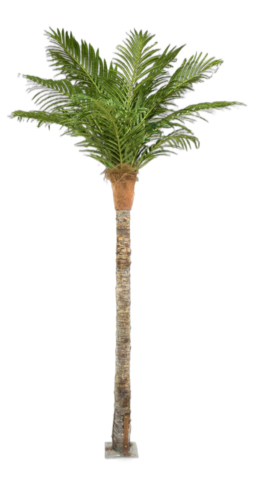 Artificial outdoor plants in Hyderabad