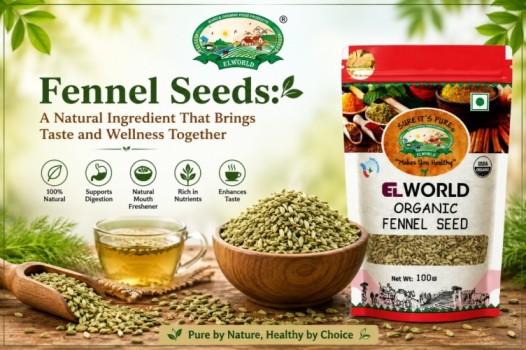 Fennel Seeds: Nature’s Refreshing Super Spice