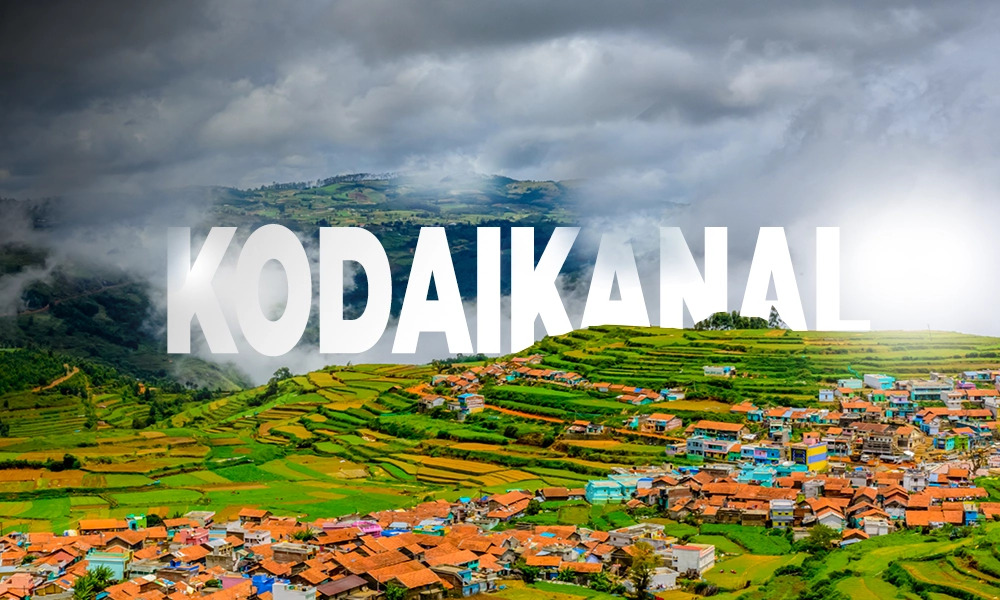 Best Kodaikanal Tour Packages – Peter Holidays Queen Tours and Travels