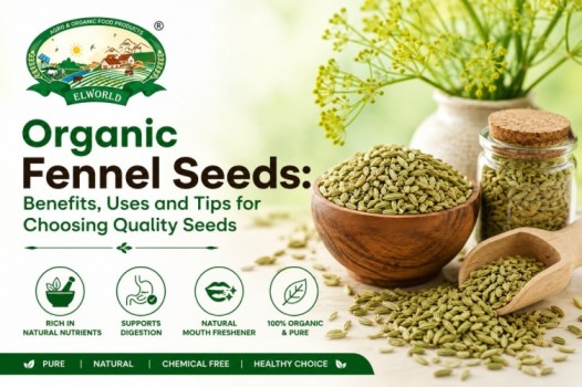 Organic Fennel Seeds for Everyday Wellness
