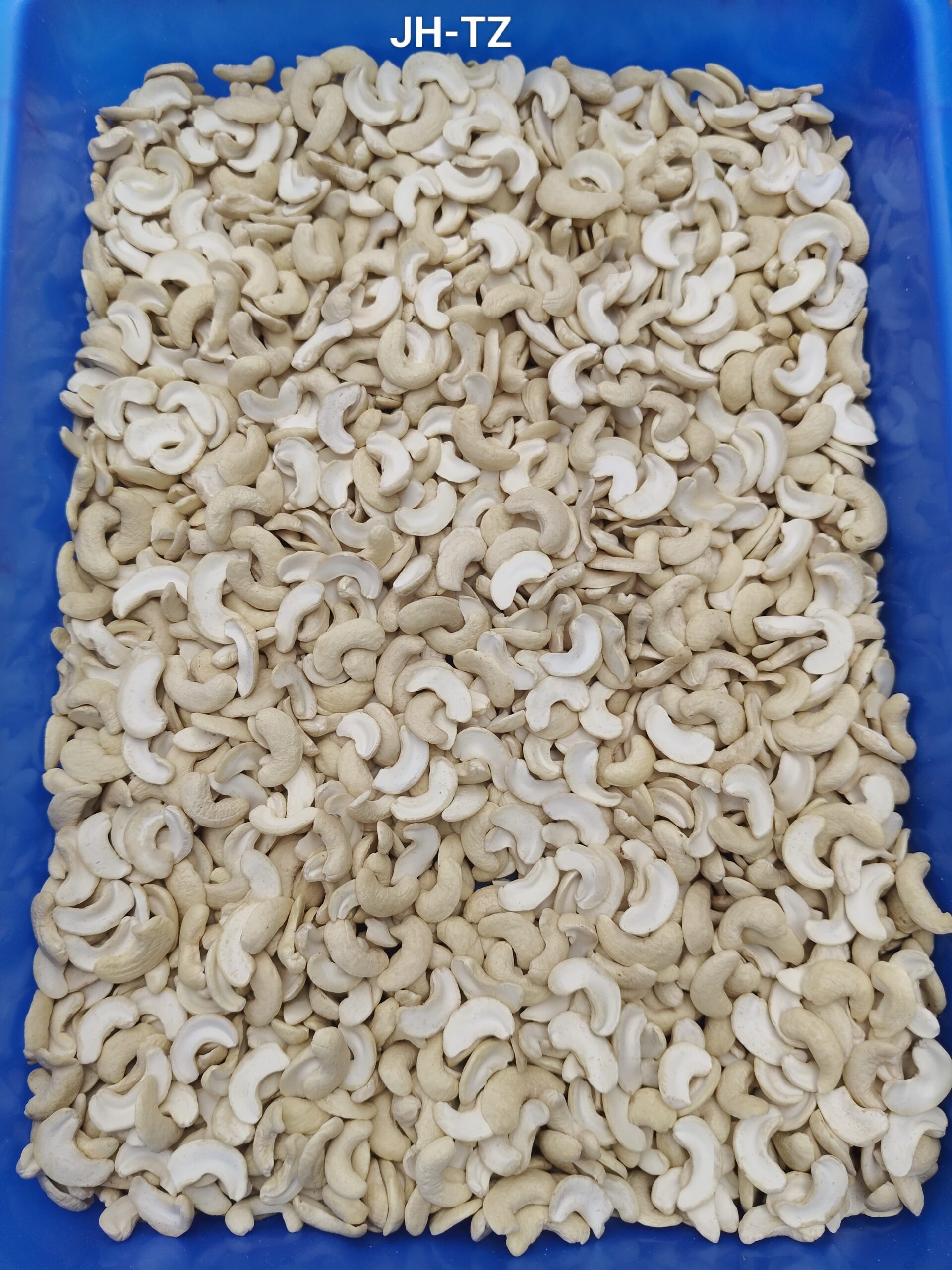 Najafgarh Nangloi Delhi – FRESH CASHEW NUTS WHOLESALER 7550251115