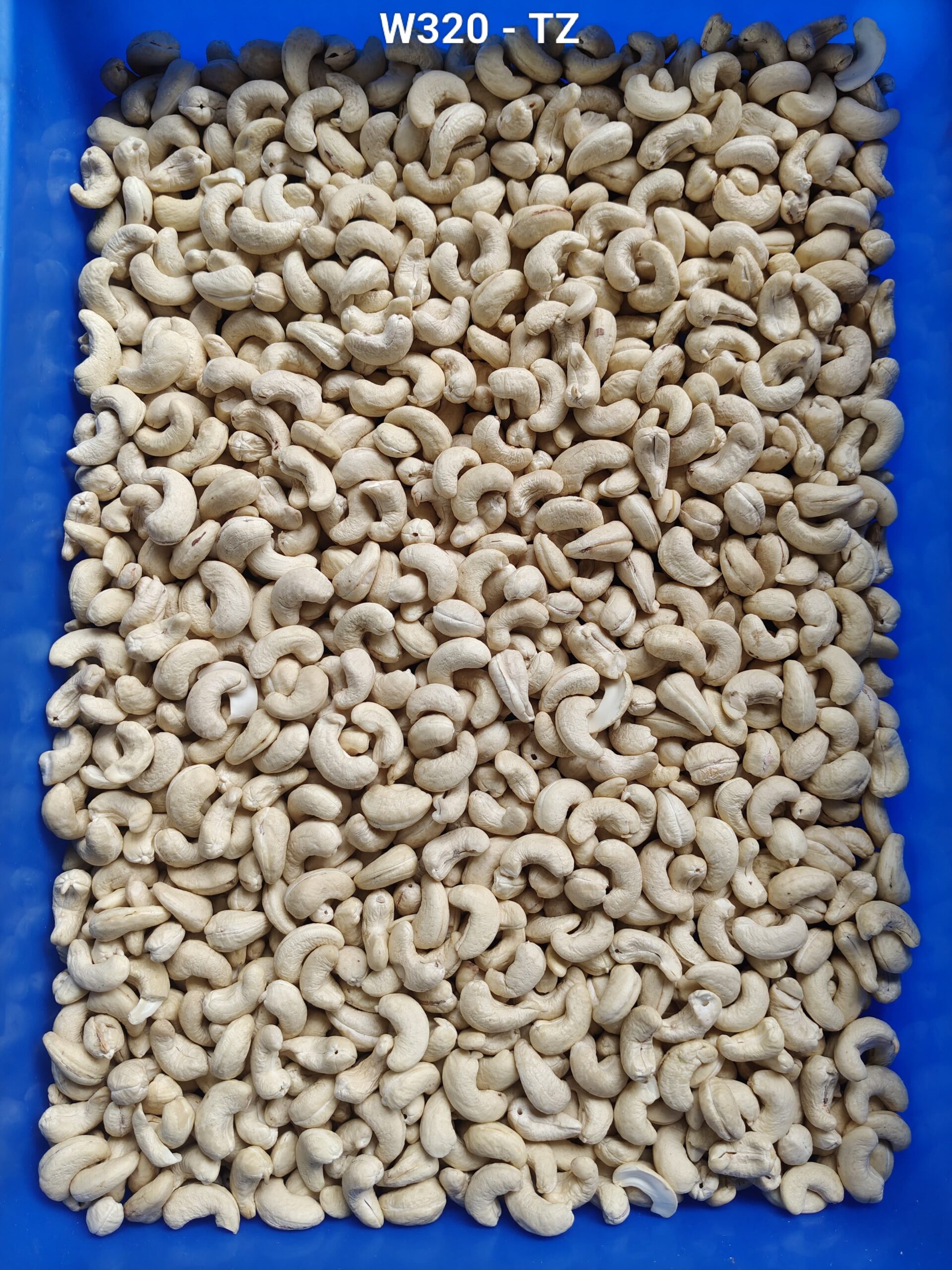 Najafgarh Nangloi Delhi – FRESH CASHEW NUTS WHOLESALER 7550251115