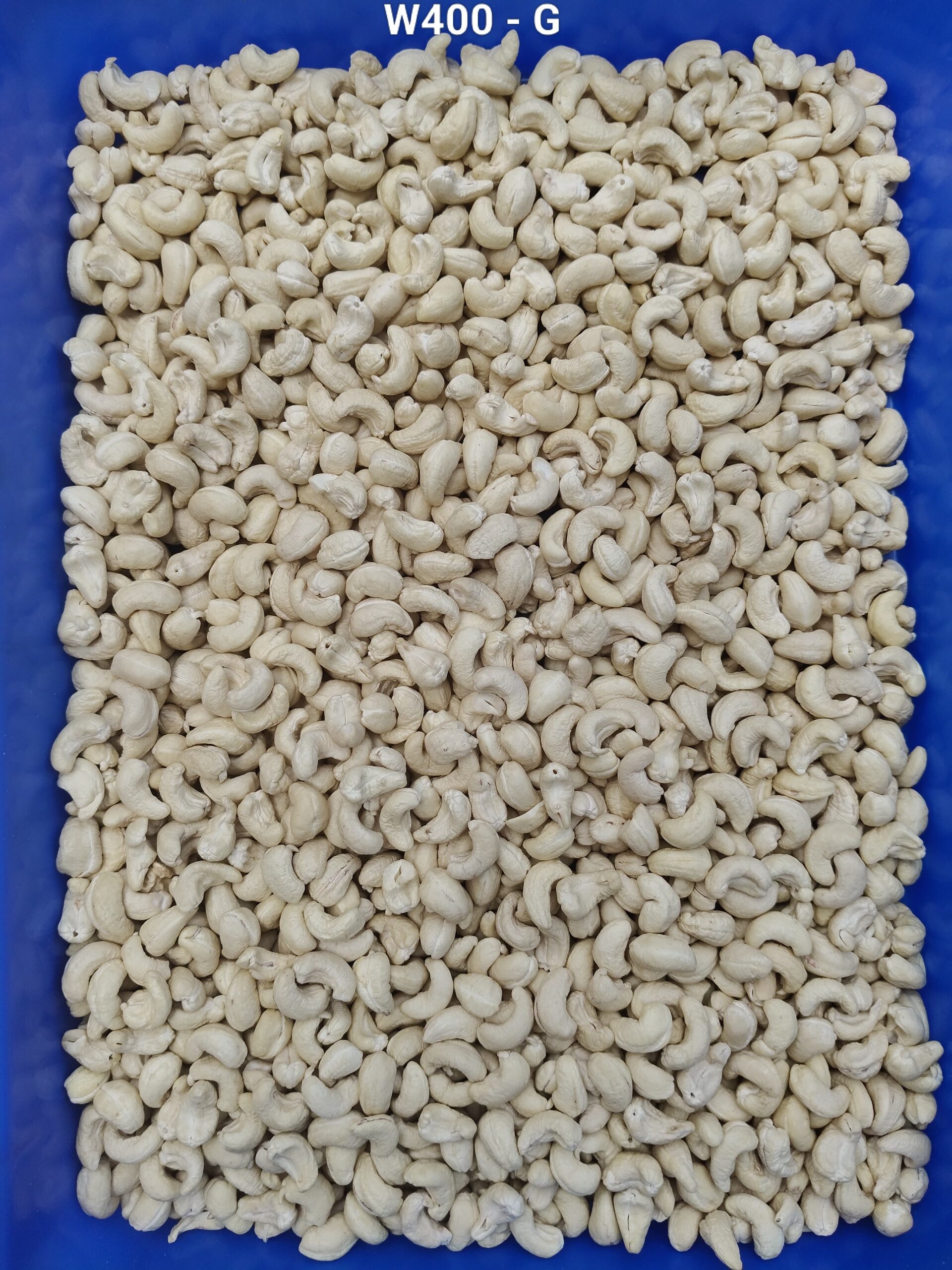 Najafgarh Nangloi Delhi – FRESH CASHEW NUTS WHOLESALER 7550251115